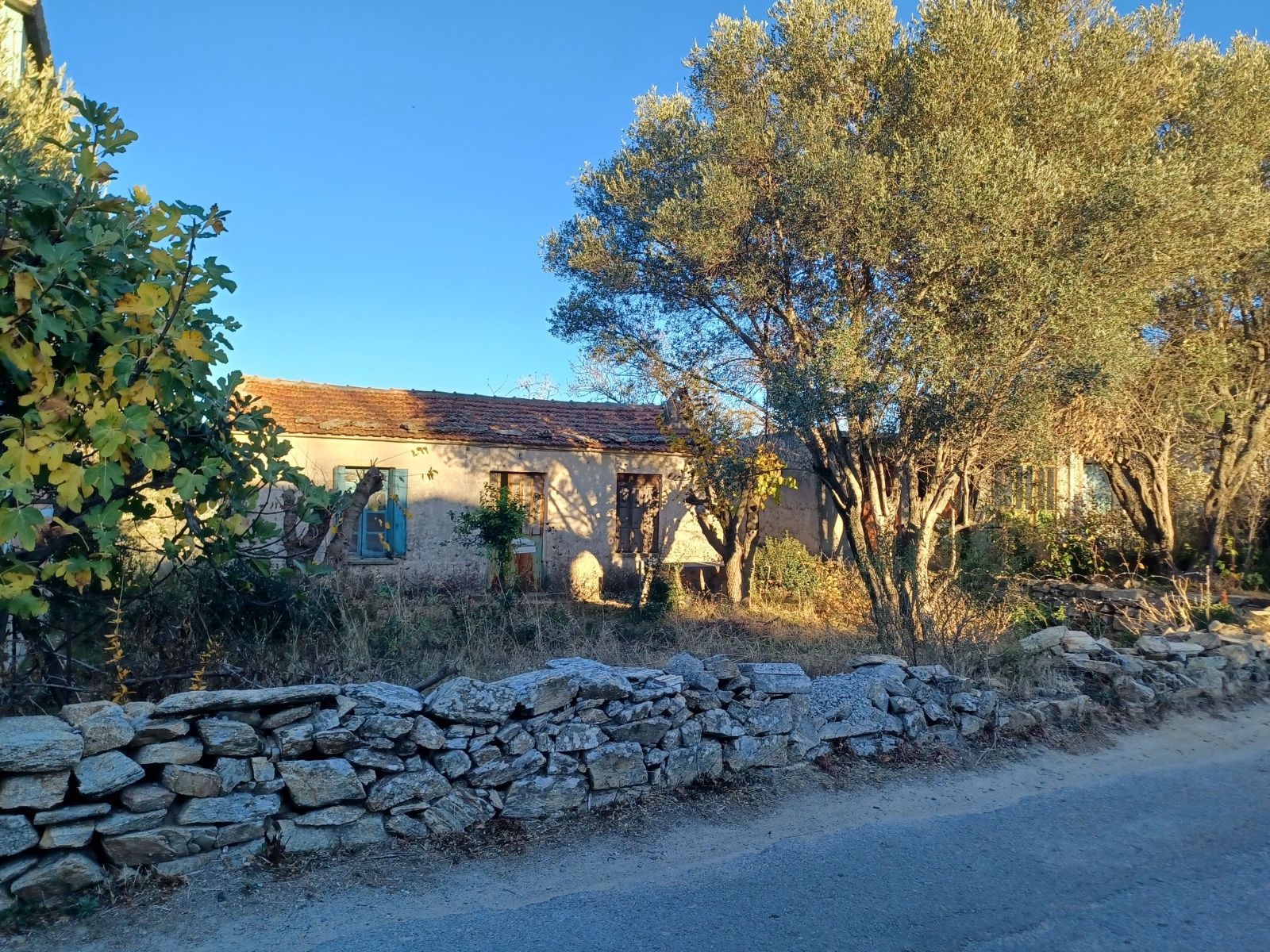 Land Plot for sale Raches (Ikaria) Buildable land with a traditional