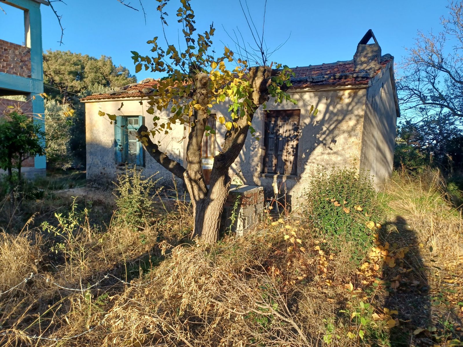 Land Plot for sale Raches (Ikaria) Buildable land with a traditional