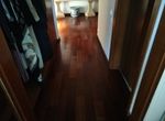Foto 248626878