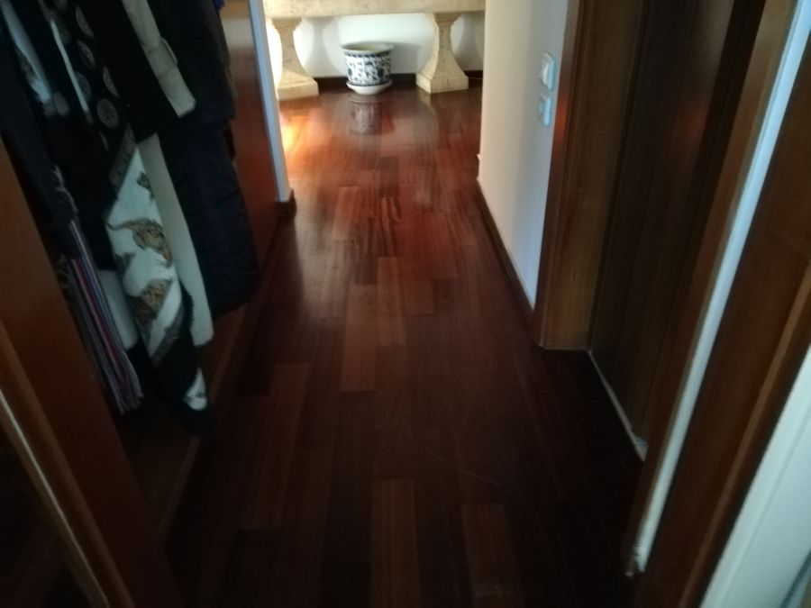 Foto 248626878