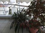 Foto 248626884