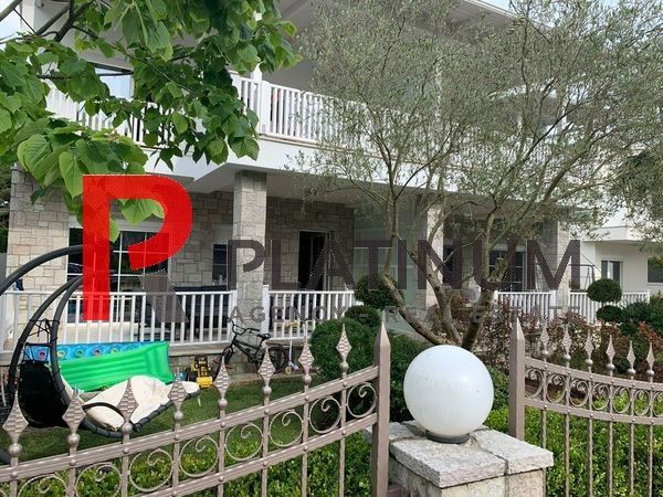 Foto 248734533