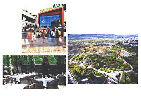 Снимка 248915790