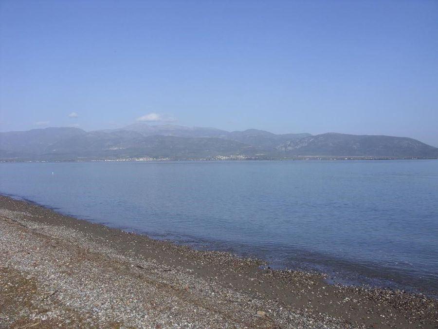 Photo 249466986