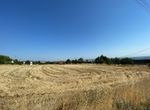 Photo 250292586