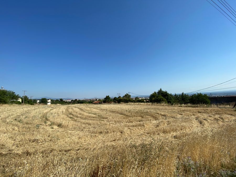 Photo 250292586