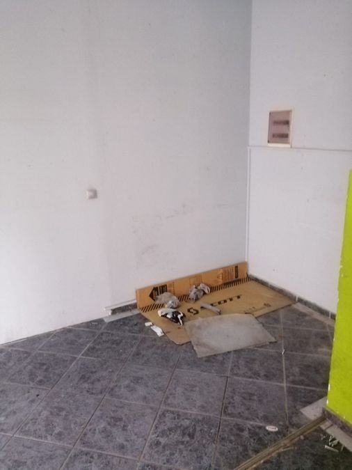 Photo 251093502