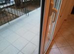 Photo 252582954