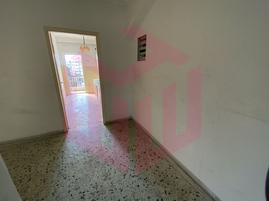 Photo 253979286