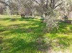Photo 255260334