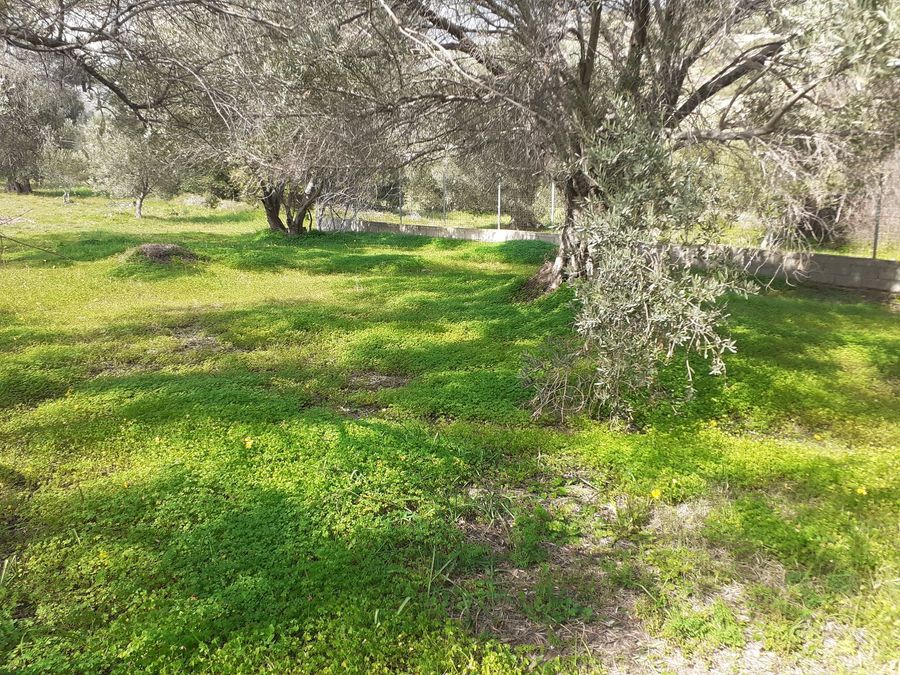 Photo 255260334