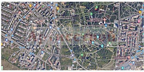 Снимка 256618026