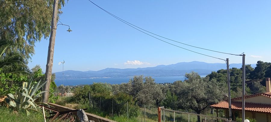 Photo 256640061