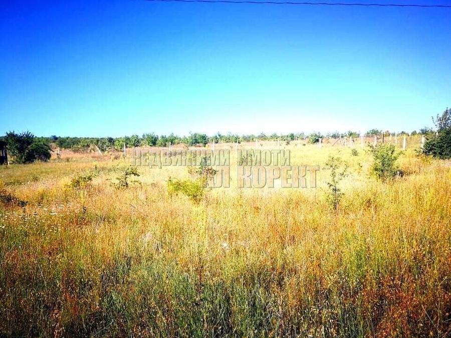 Снимка 257077227