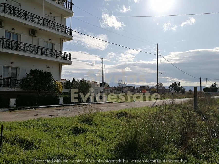 Photo 257688897