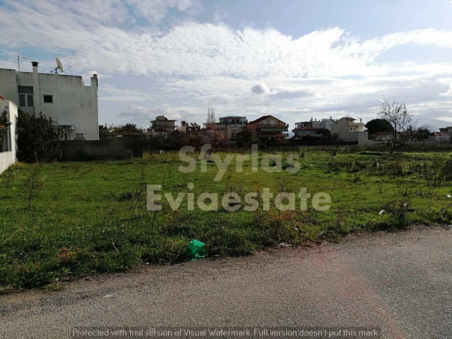 Photo 257688909