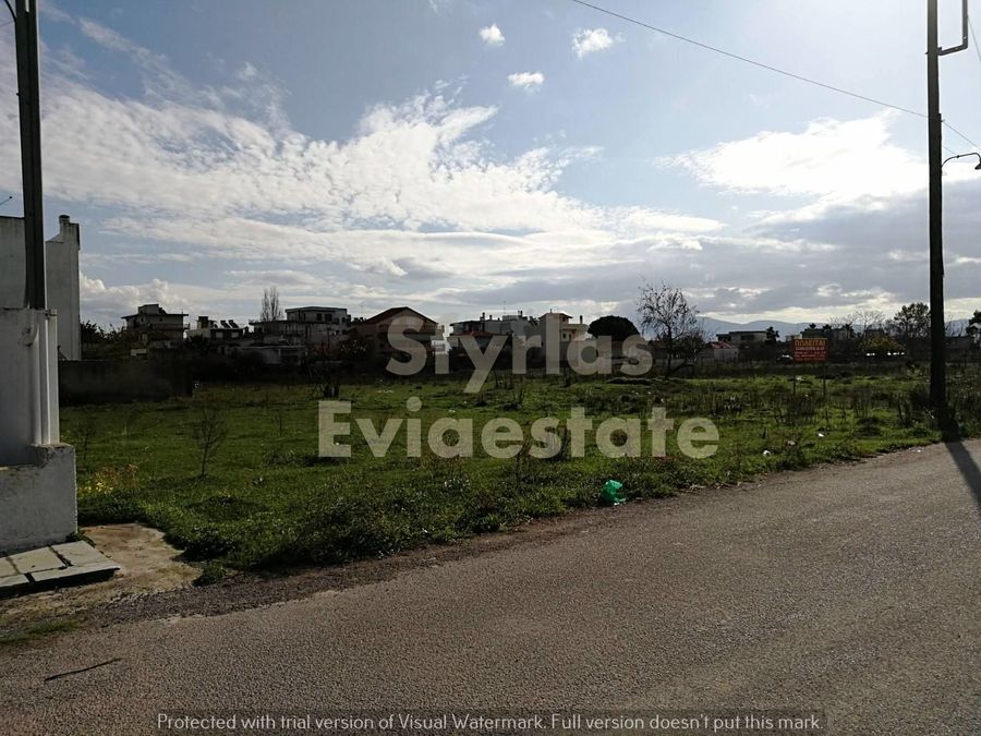 Photo 257688915