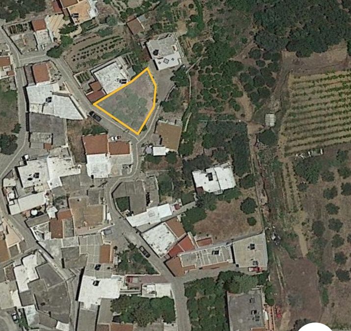 Fotografie 257916246