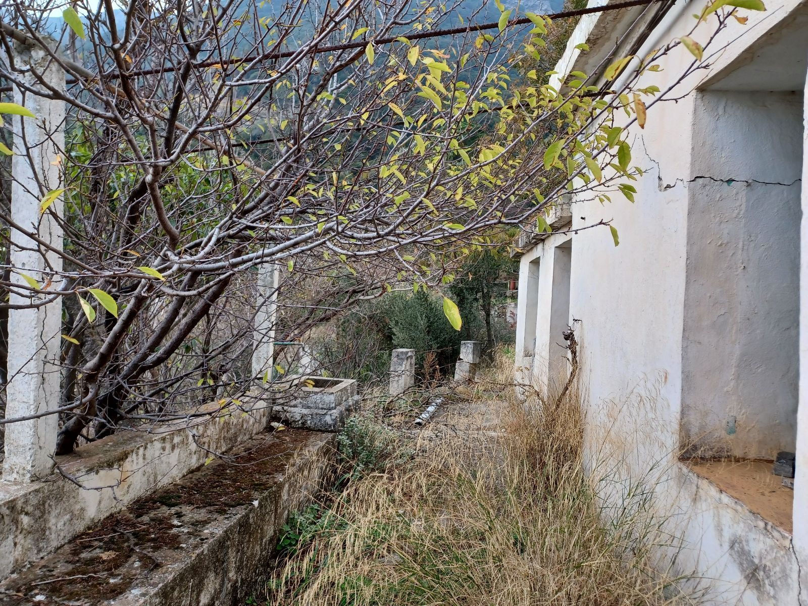 Land Plot for sale Agios Kirikos (Ikaria) Buildable plot with an old