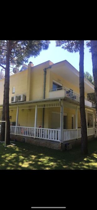 Foto 259266669