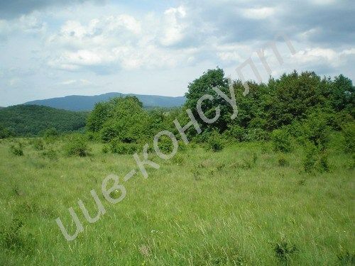 Снимка 259282014