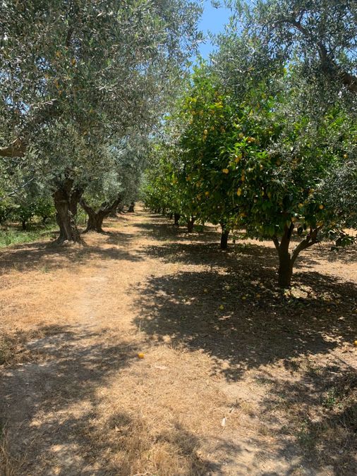 Photo 260963241