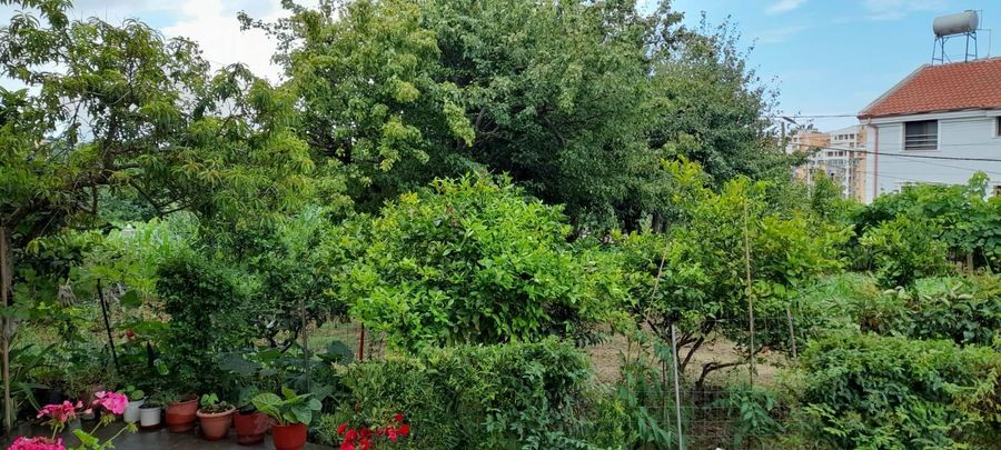 Photo 261115242