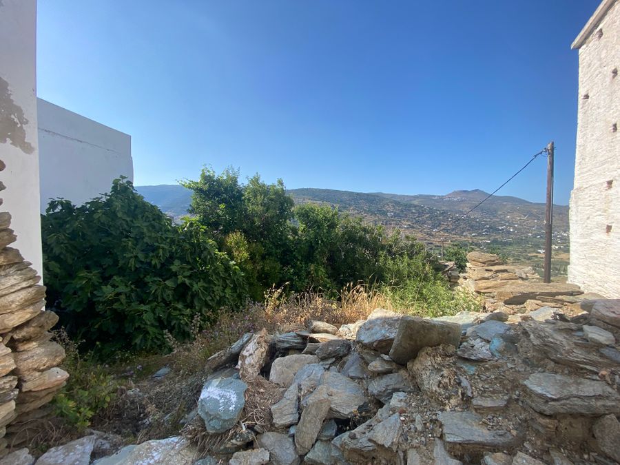 Photo 261430287