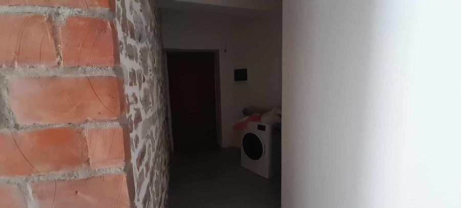 Photo 261488235
