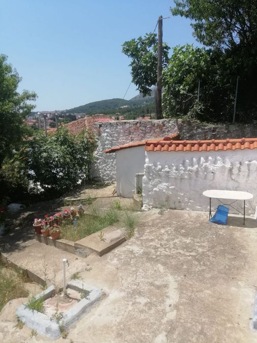 Photo 262223844