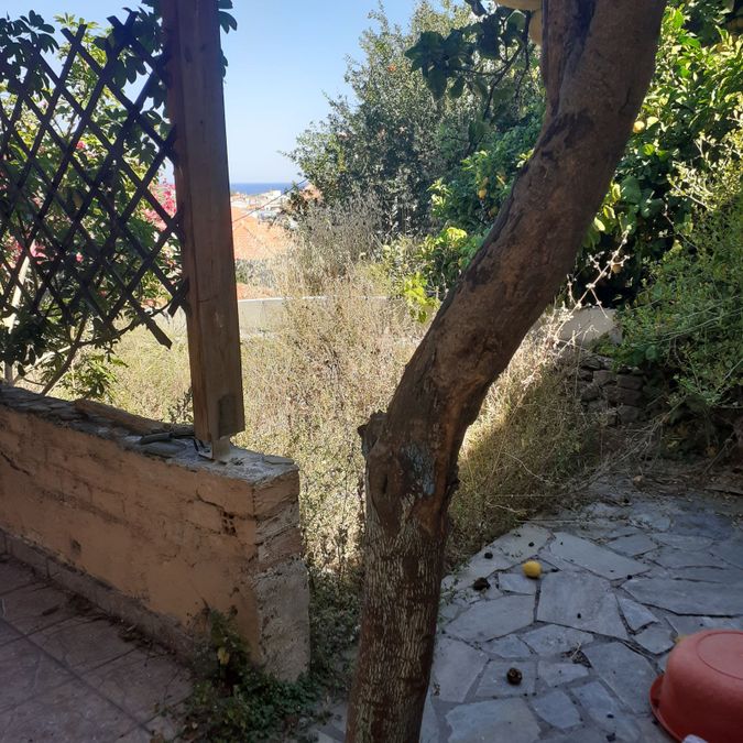 Photo 262371903