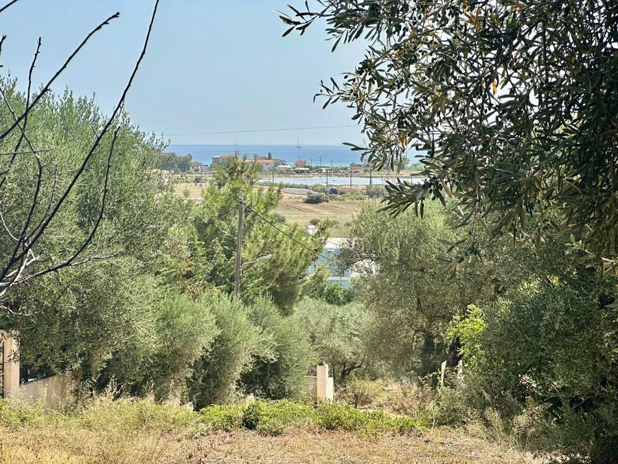 Sale, Plot, 960m² Alikes, Katastari 14363263 Spitogatos