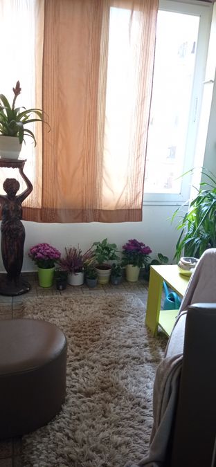 Снимка 263021430