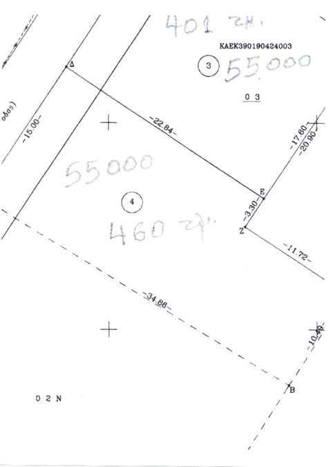 Photo 270819519
