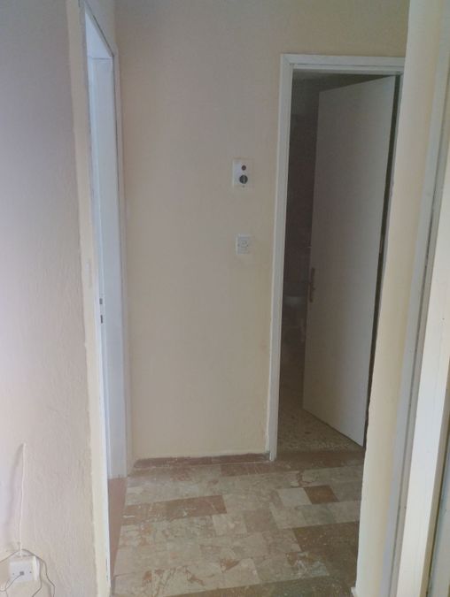 Photo 274003836