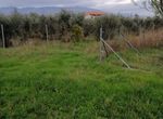 Photo 274489536