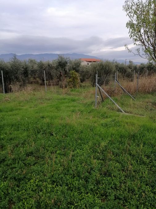 Photo 274489536