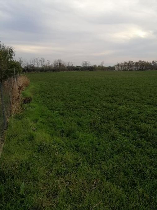 Photo 274489539
