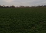 Photo 274489542