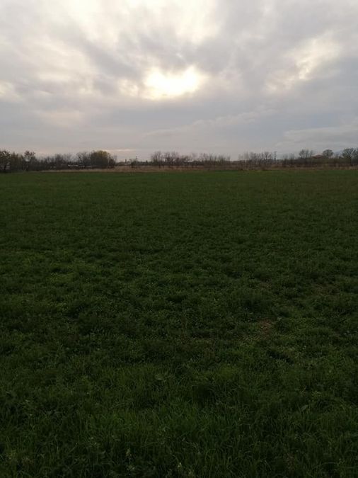 Photo 274489542