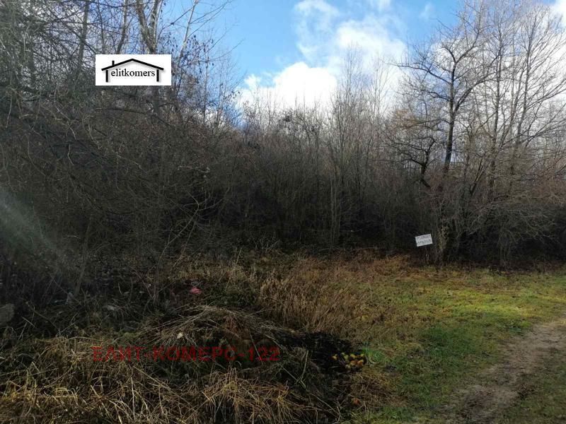 Снимка 275043774