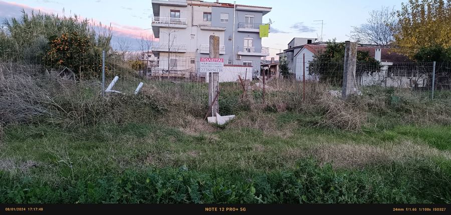 Снимка 275726187