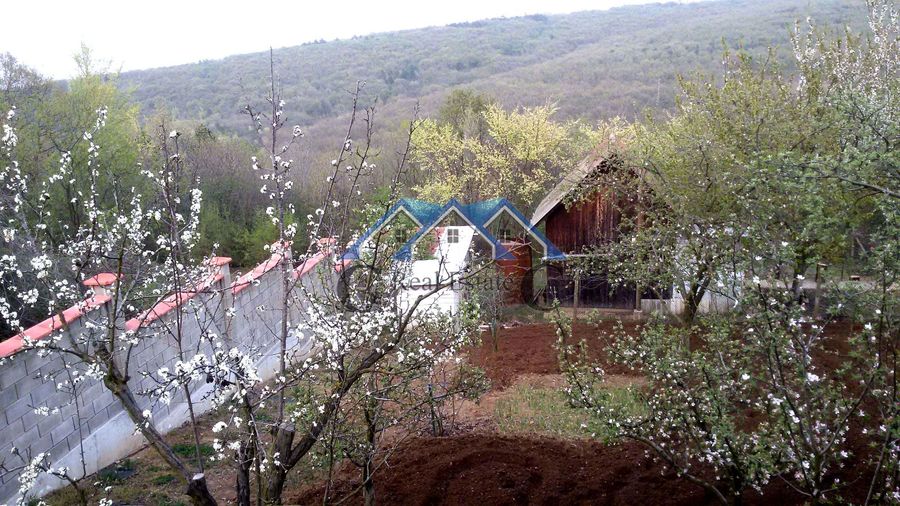 Снимка 278352753