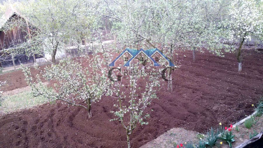 Снимка 278352756