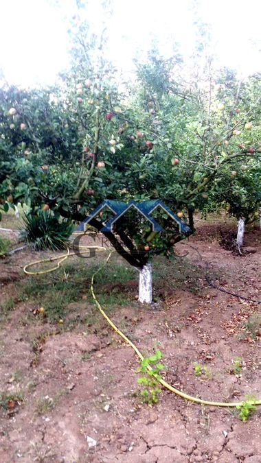 Снимка 278352765