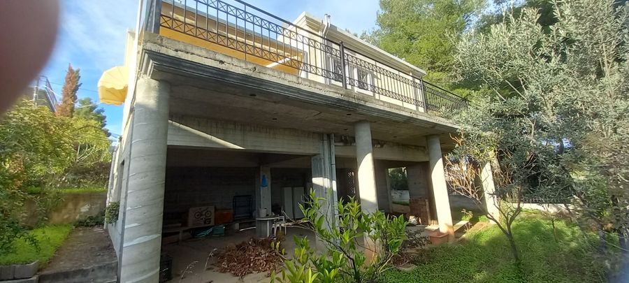 Photo 278905200