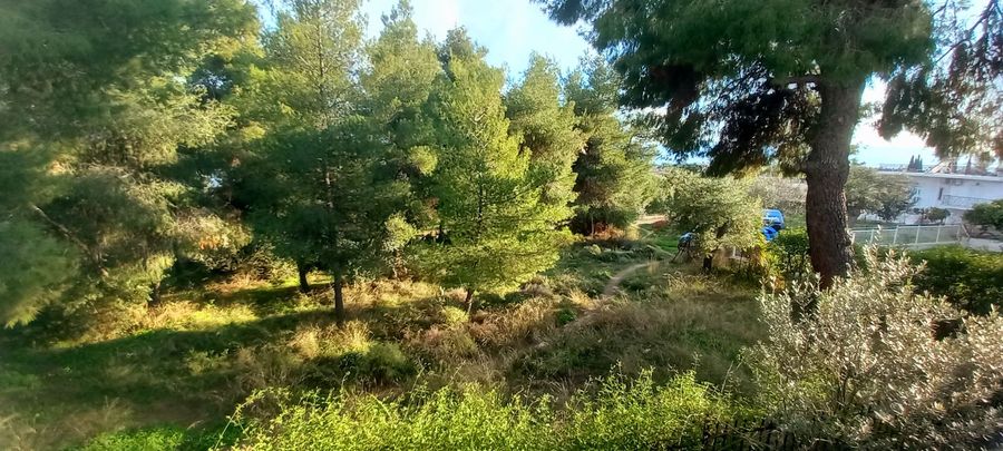 Photo 278906850