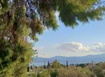 Photo 278906853