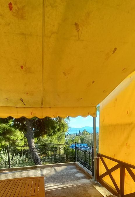 Photo 278906856