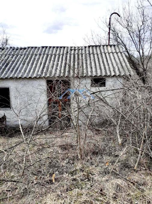 Снимка 281188785